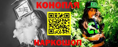 молекула духа Будённовск