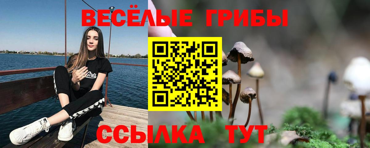 Псилоцибиновые грибы GOLDEN TEACHER  купить   Рязань  Вход с VPN 